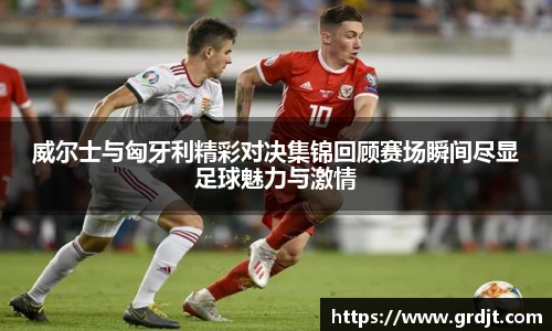 乐鱼体育官网